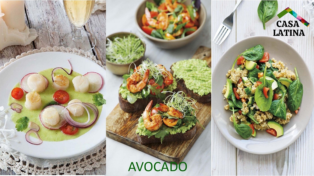 Avocado Aguacate Palta page 01